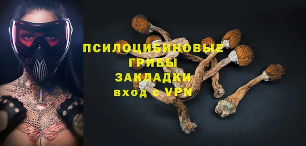 МДМА Белокуриха