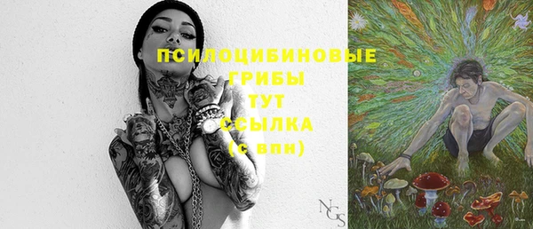 индика Баксан